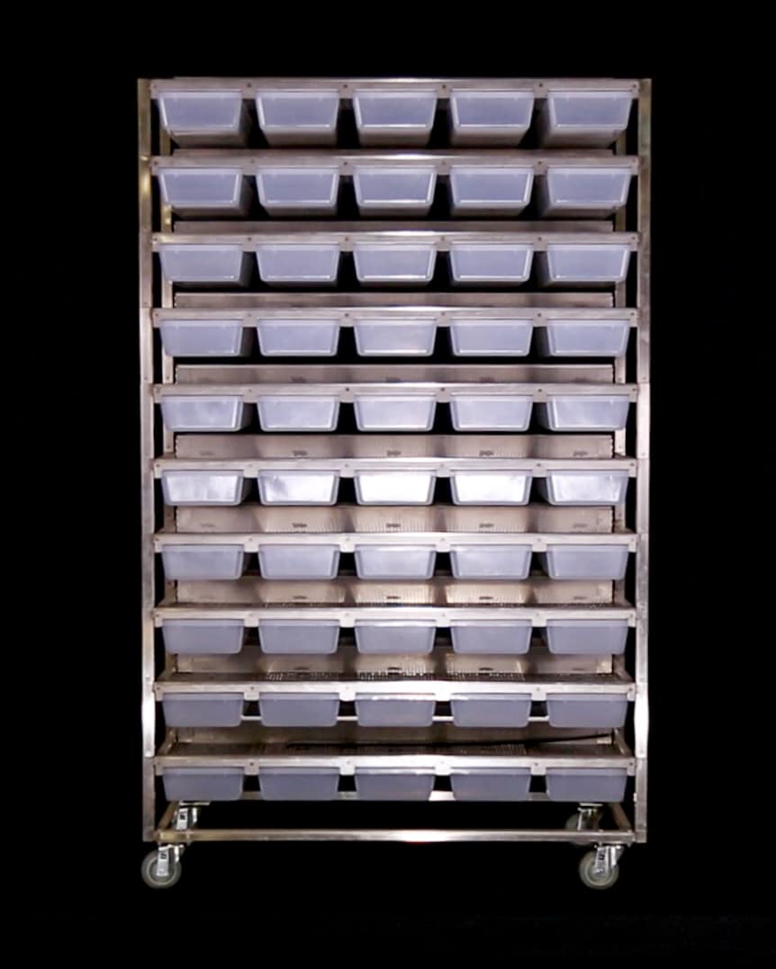 Rodent 1050-10 - Image 17