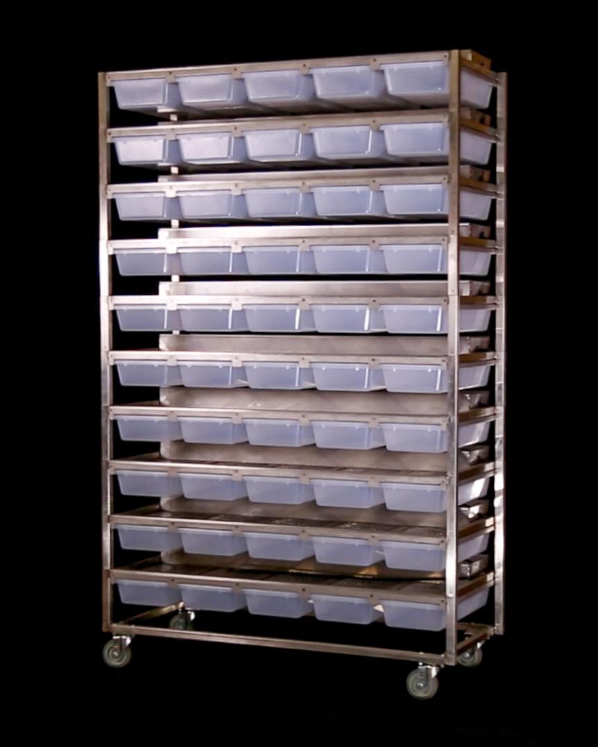 Rodent 1050-10 - Image 19