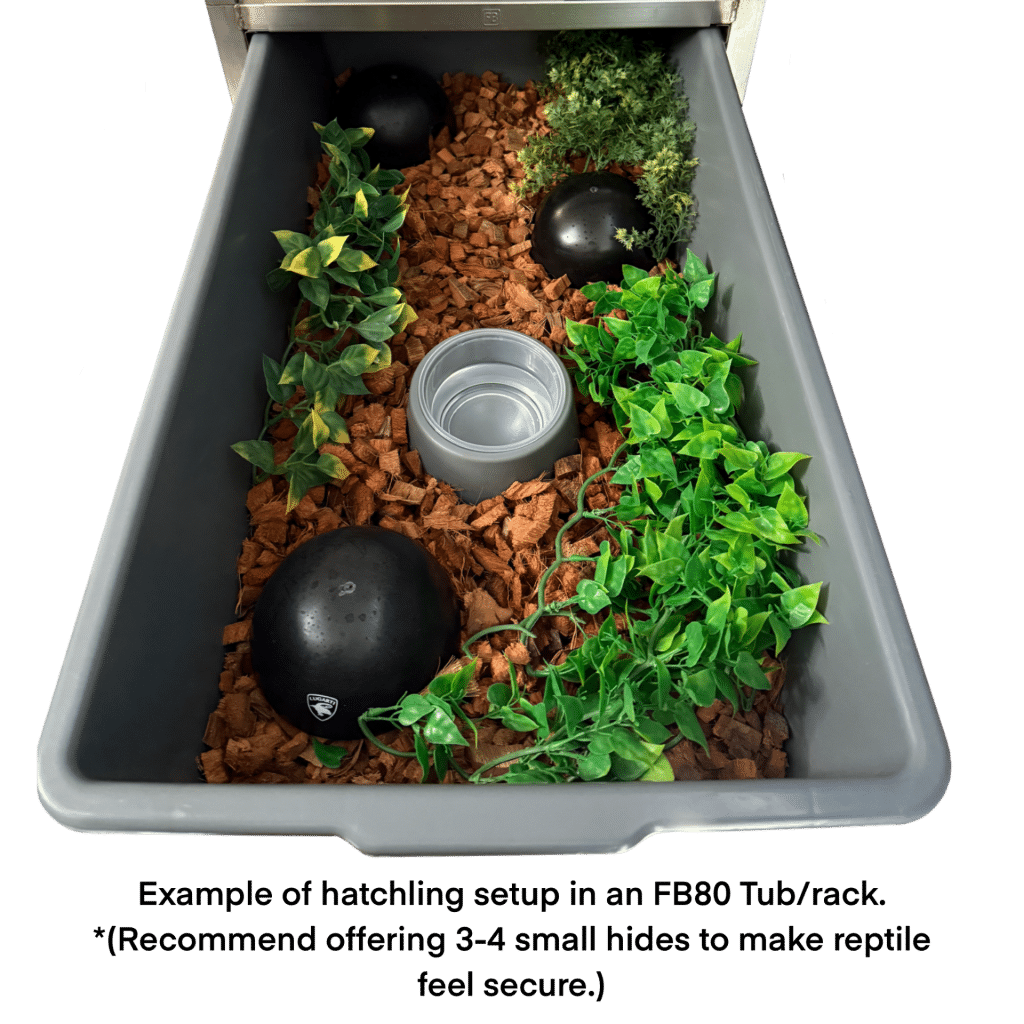 FB80 Tub - Freedom Breeder